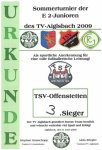 E2 Turnier Aiglsbach 2009