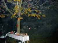 293_halloweenparty_2008_20091104_1116763365