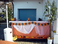 038_halloween_2010_20101122_1372103372