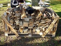 056_halloween_2010_20101122_1217492394