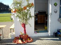 061_halloween_2010_20101122_1481838530