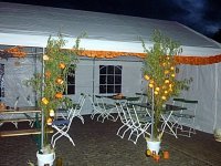079_halloween_2010_20101122_1311041107