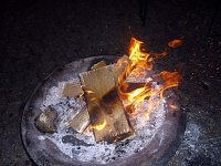 224_halloween_2010_20101122_1966265725